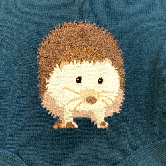 TALBOTS Adorable teal hedgehog sweater, size M - Picture 9 of 13